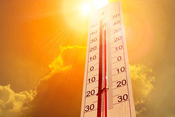 breaking-news-professional-blood-cleanup-services-so-important-in-this-heat-1752261253156.jpeg