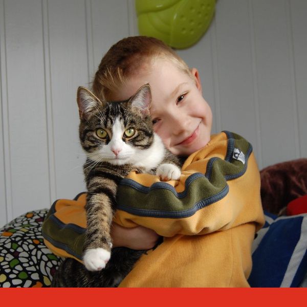 kid holding cat
