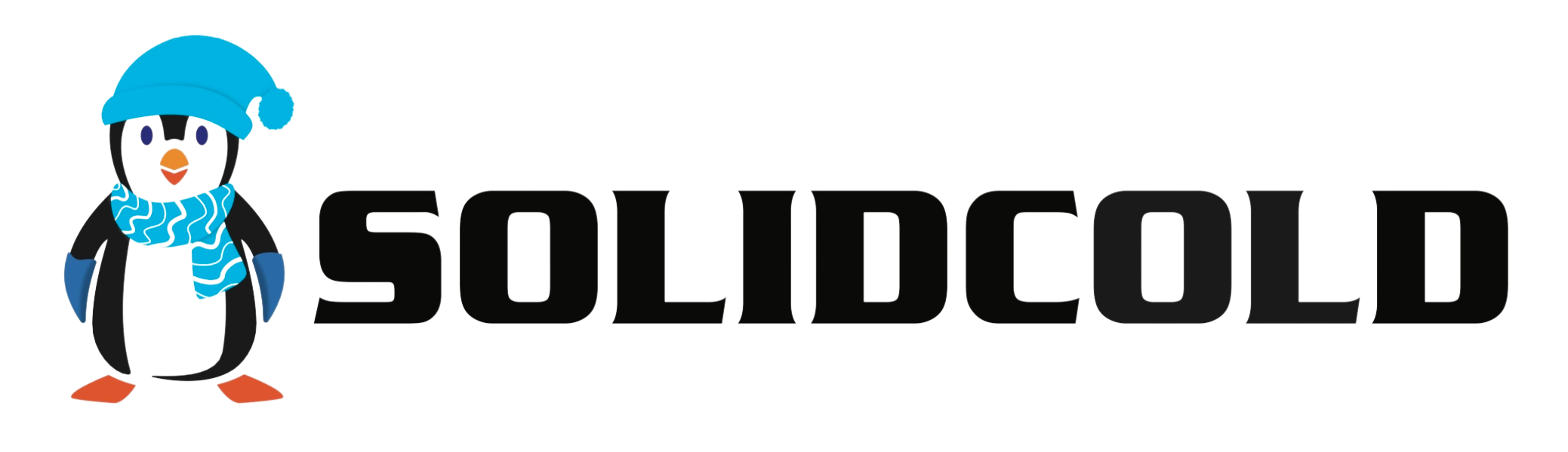 SOLIDCOLD CORPORATION