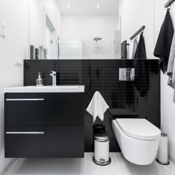 small black and white bathroom