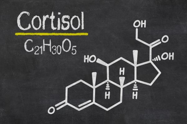 chemical make up of cortisol