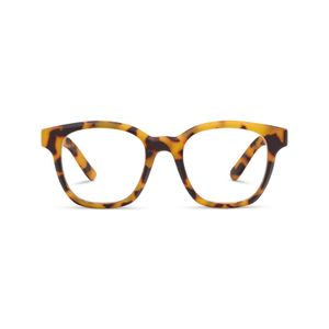 3584_ZinniaProgressive-TokyoTortoise_SC_Web.jpg