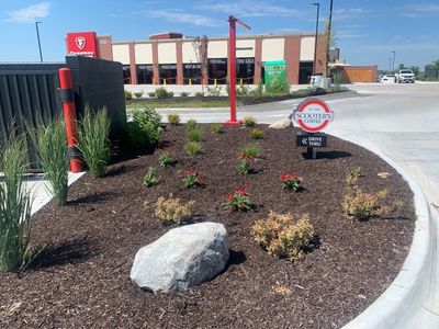 Plantings - Commercial, Perennials.jpg