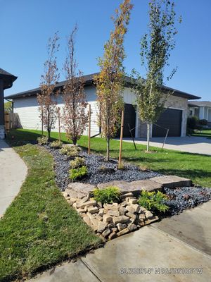 Planting Design - Comstock.jpg