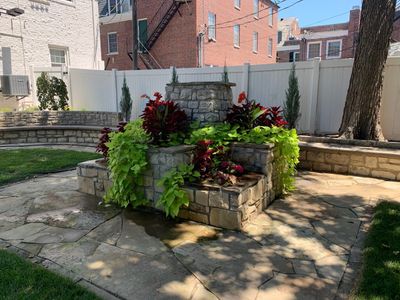 Plantings - Annuals.jpg