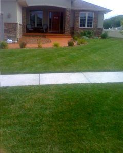 lawn-5c76c183d4154-240x300.jpg