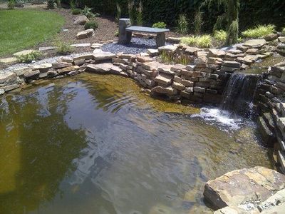 Pond-Large-209-800-600-80-5c8c1f5d2ad1d.jpg