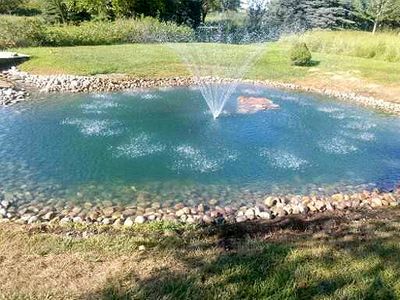 pond.jpg