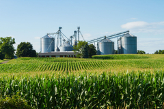 Agriculture-1536x1024.jpg