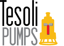 Tesoli Pumps logo Final3.png