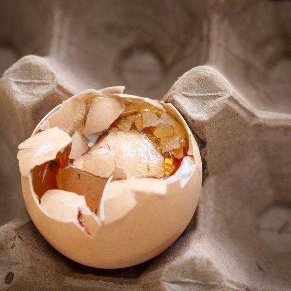 rotten egg in carton