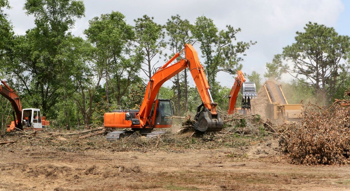 Land Clearing Hero.jpg