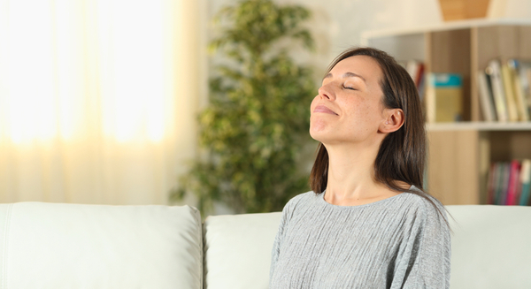 Beyond Filters A Guide to WholeHome Air Purification Systems - Featured Image.jpg