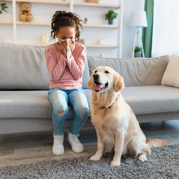 Beyond Filters A Guide to WholeHome Air Purification Systems-2.jpg