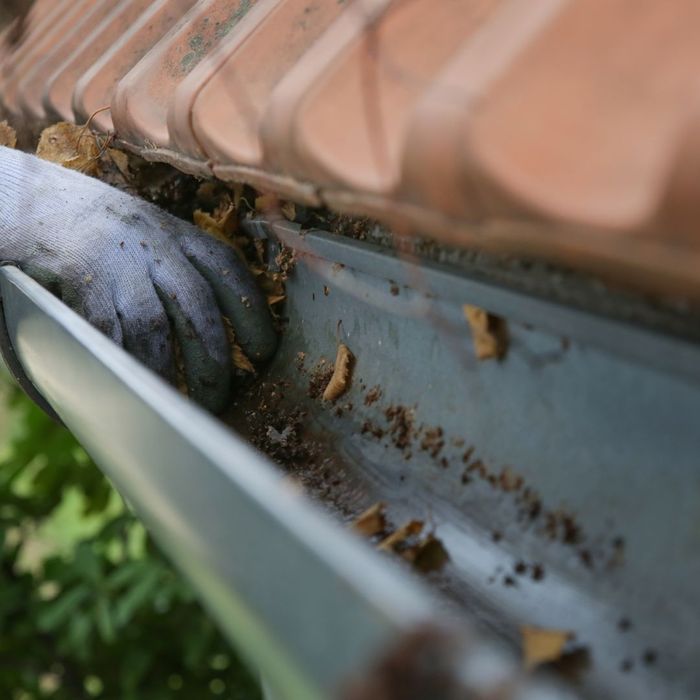 Granules in the Gutters