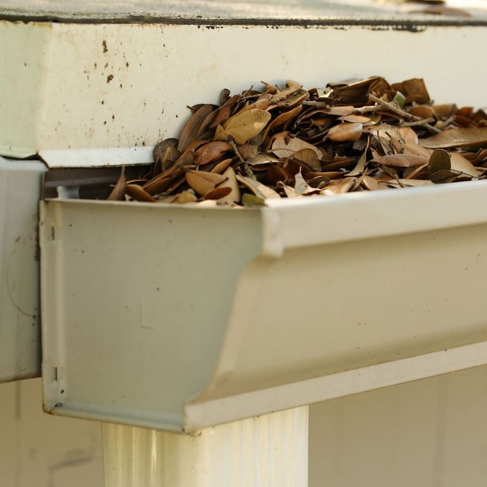 clogged gutters