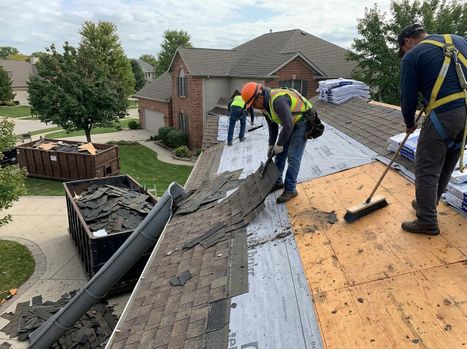 A team of roofers actively works on a residential roof, removing old shingles, sweeping the exposed plywood, and preparing for new installation. A dumpster full of removed shingles sits in the driveway, connected by a debris chute. Roofing crew replacing shingles on a house