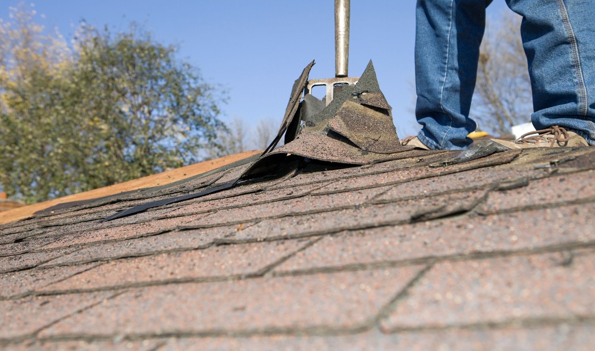 Hero Picture - How Much Does It Cost To Replace a Roof.jpg
