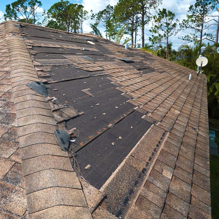 damaged shingles on roof