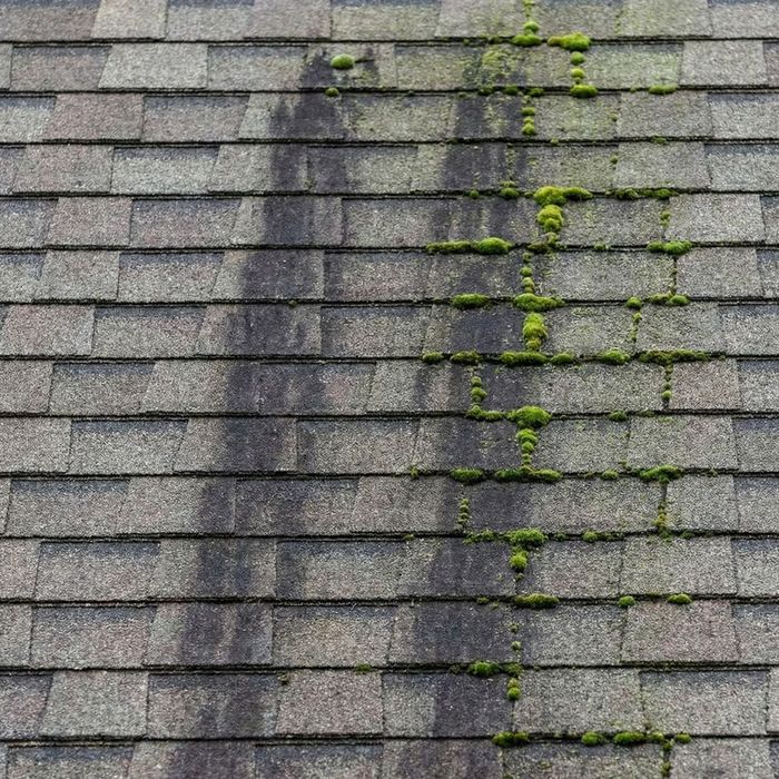 A roof showing dark streaks of algae and patches of green moss growth.