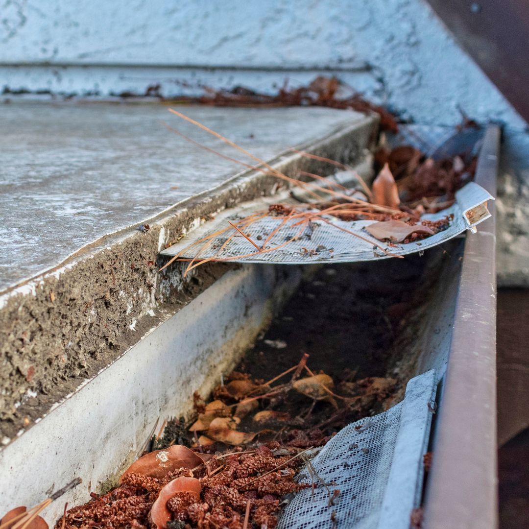 clogged gutters