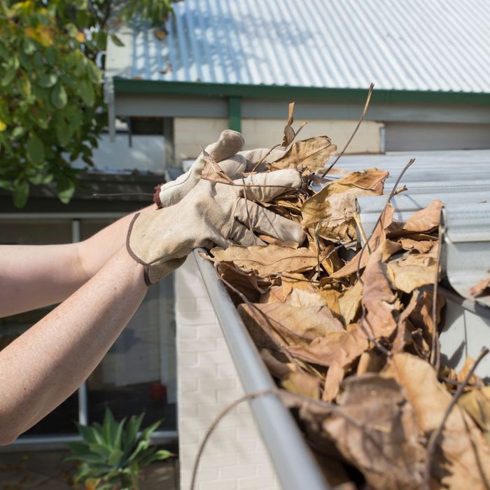 Keep Gutters And Downspouts Clear