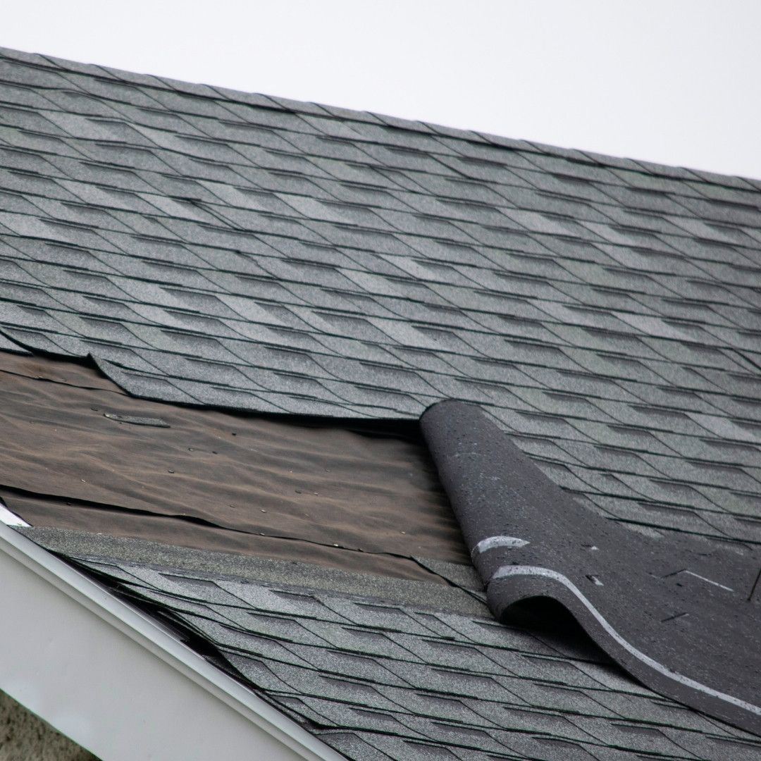 damaged shingles on roof