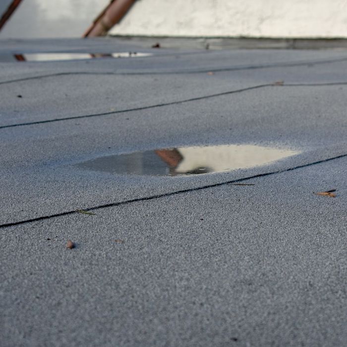 flat roof with pooling water