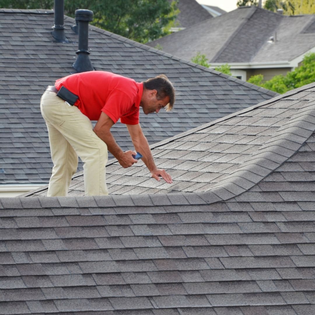 Blitz 5 Tips for Roof Maintenance 1080x1080-image1.jpg