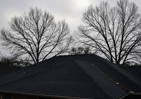 Black Roof and Bare Trees Against Overcast Sky