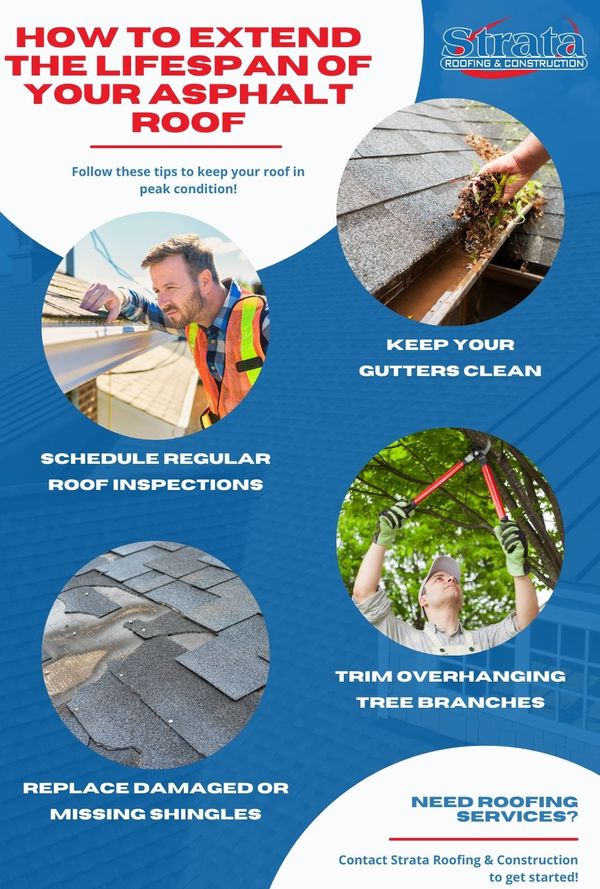 how to extend roof lifespan infographic
