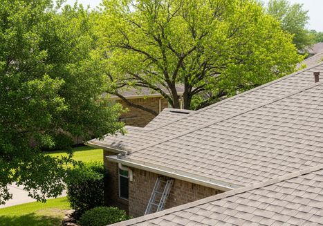Residential Roof and Surrounding Greenery