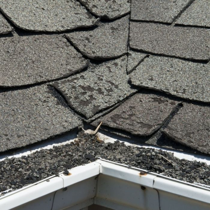 BLITZ -Signs of Roof Damage 1080x1080-image2.jpg