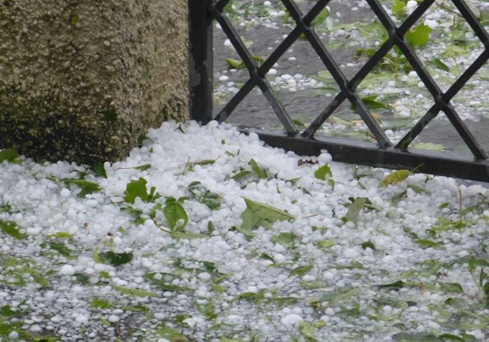 hail damage 2.jpg