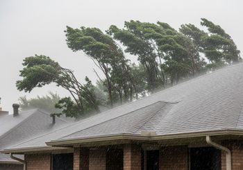 Trees bending in the wind during heavy rain