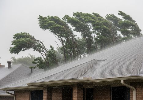 A row of trees is bending from strong winds during a storm with heavy rain. In the foreground is a brick house with a gray shingled roof that is wet from the storm. Trees bending in the wind during heavy rain