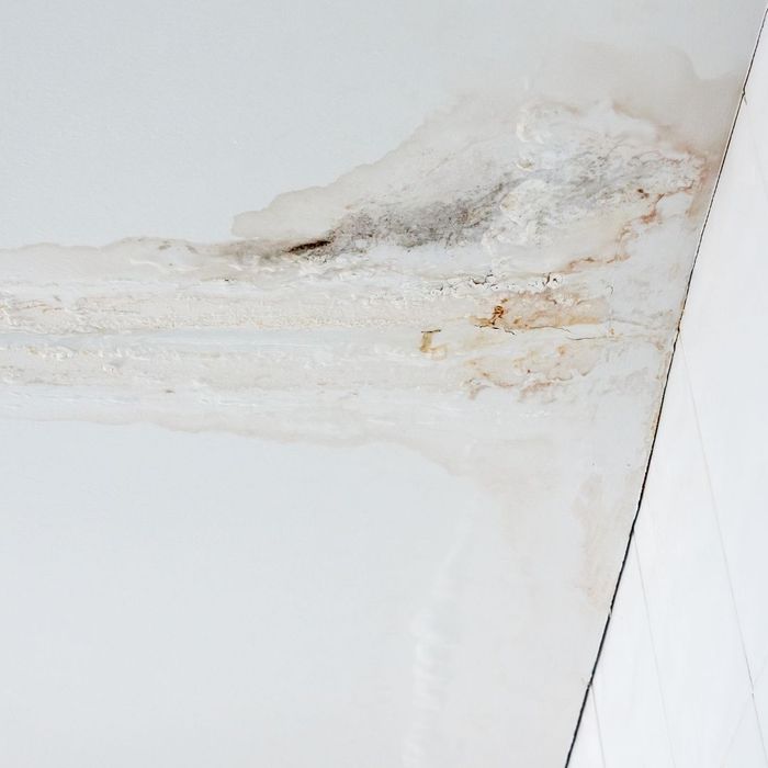 RoofRepairChecklist (3).jpg