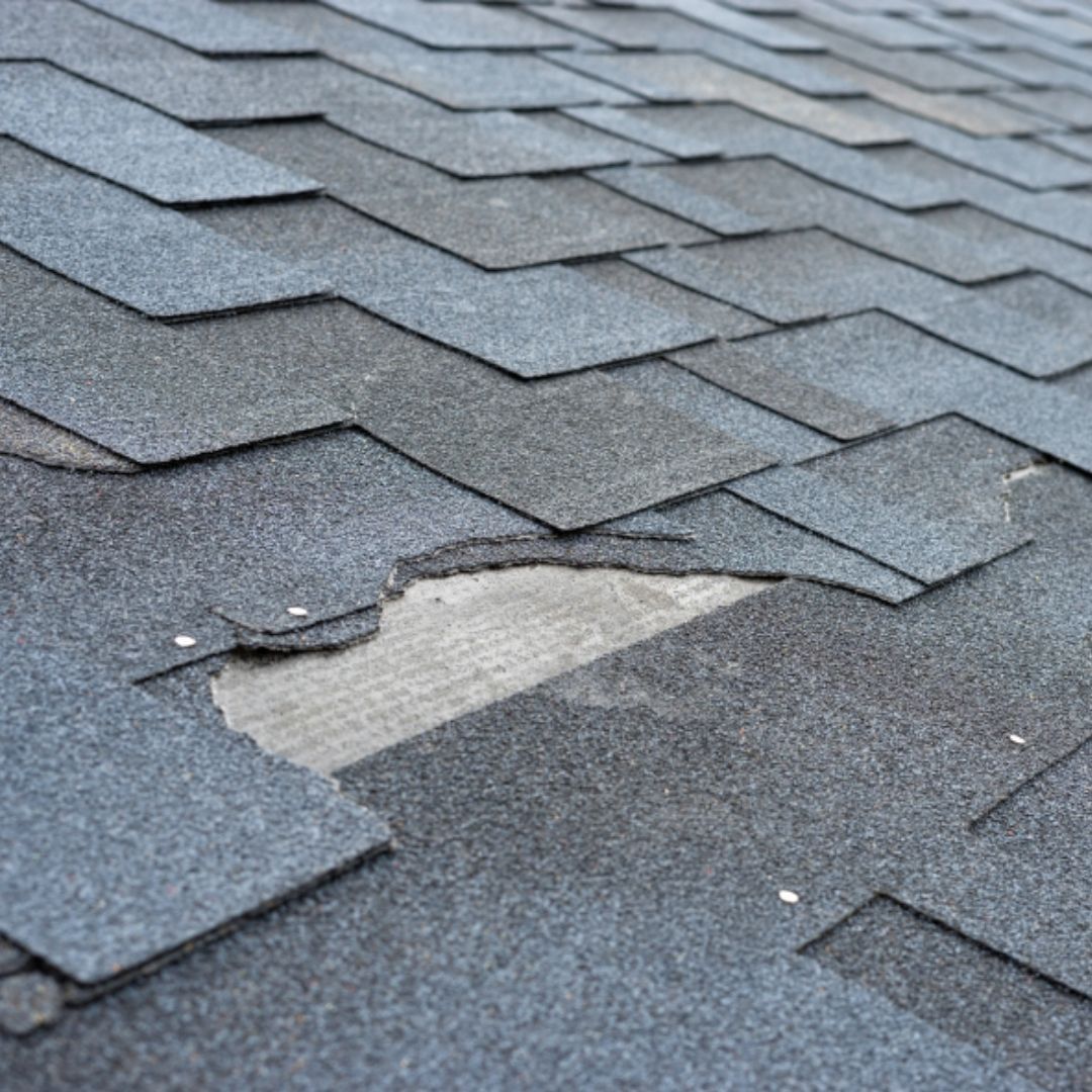 BLITZ -Signs of Roof Damage 1080x1080-image1.jpg