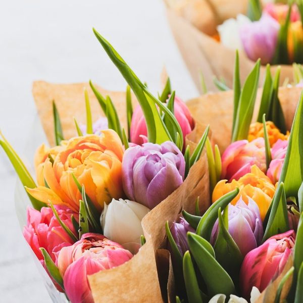 floralplans (1).jpg