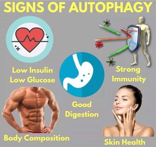 SIGNS OF AUTOPHAGY.jpeg