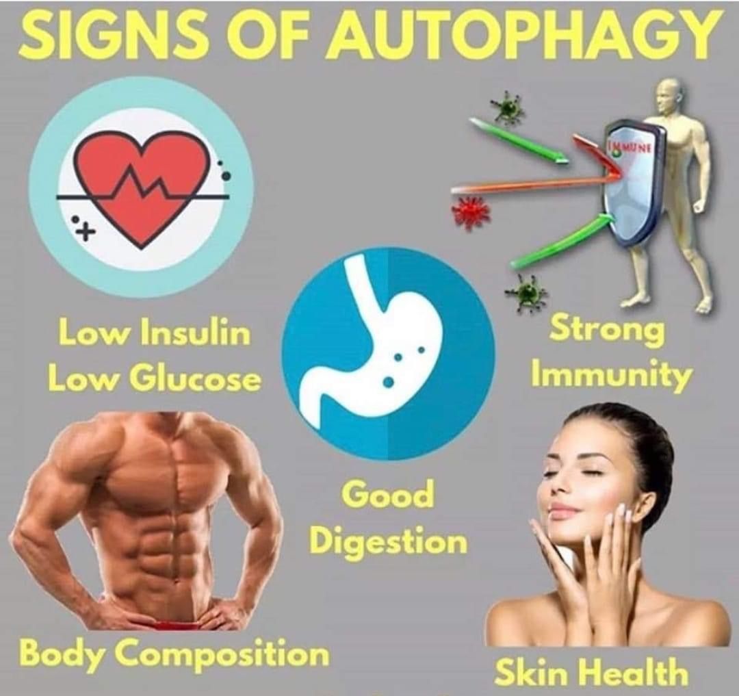 SIGNS OF AUTOPHAGY.jpeg