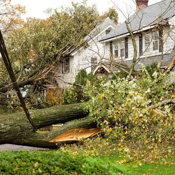 Storm Damage Needing Professional Clean-Up