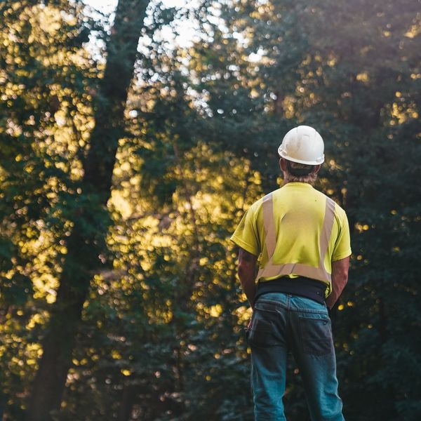 Tree Removal in Warner Robins, GA 2.jpg