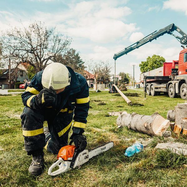 Tree Removal in Centerville, GA 1.jpg