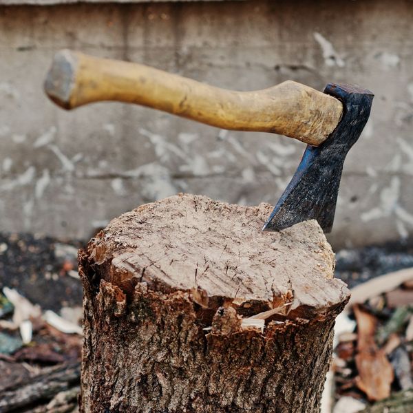 Tree Removal in Centerville, GA 3.jpg