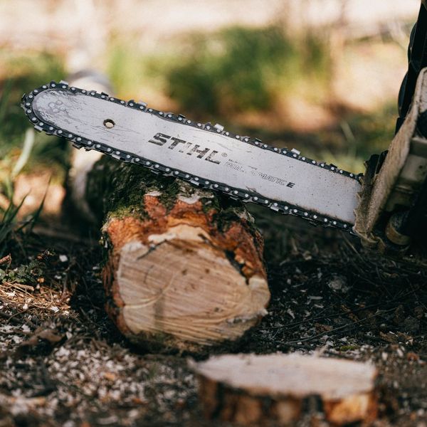 Tree Removal in Gray, GA 1.jpg