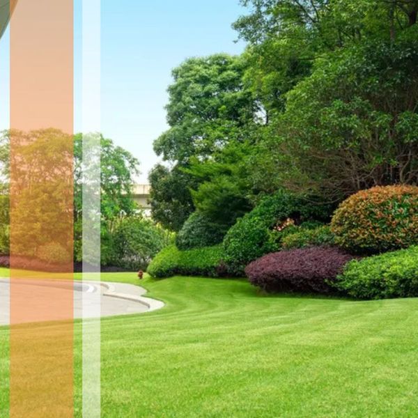 a commercial landscape Landscaping & Janitorial.jpg