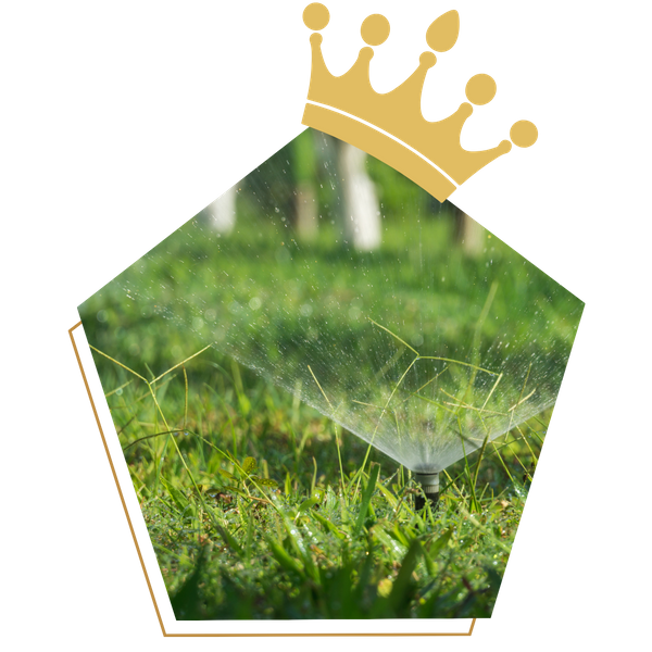 Sprinkler head in a green lawn