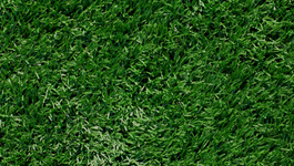 Artificial Turf bg.png