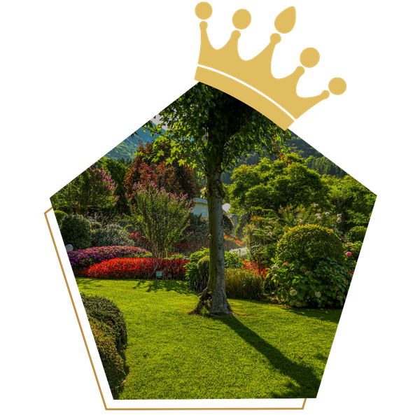 Landscaped garden